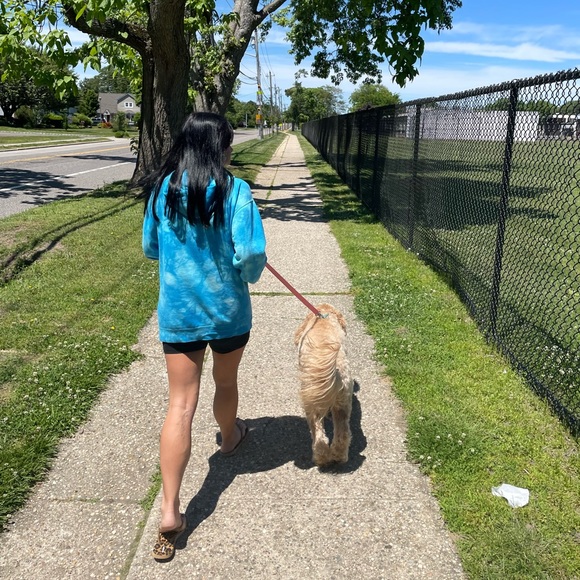 ๐บ Meet the Posher ๐บ - Picture 2 of 2